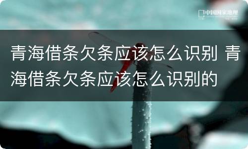 青海借条欠条应该怎么识别 青海借条欠条应该怎么识别的