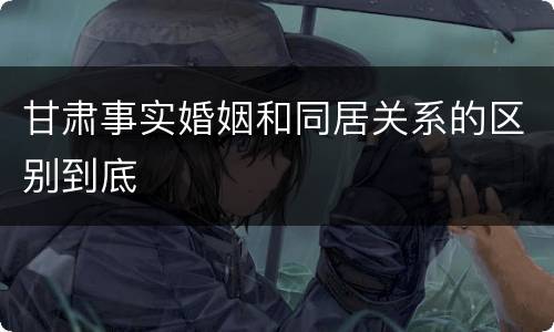 甘肃事实婚姻和同居关系的区别到底