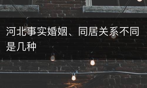 河北事实婚姻、同居关系不同是几种
