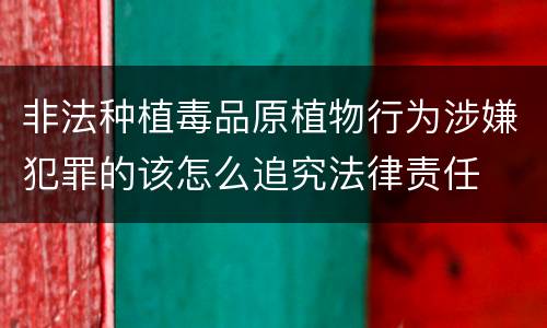 非法种植毒品原植物行为涉嫌犯罪的该怎么追究法律责任