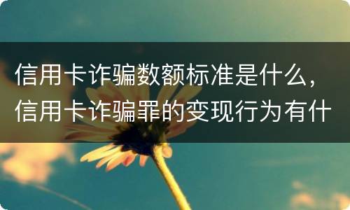 信用卡诈骗数额标准是什么，信用卡诈骗罪的变现行为有什么呢