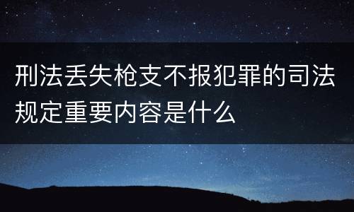 刑法丢失枪支不报犯罪的司法规定重要内容是什么