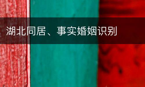 湖北同居、事实婚姻识别