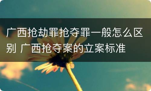 广西抢劫罪抢夺罪一般怎么区别 广西抢夺案的立案标准