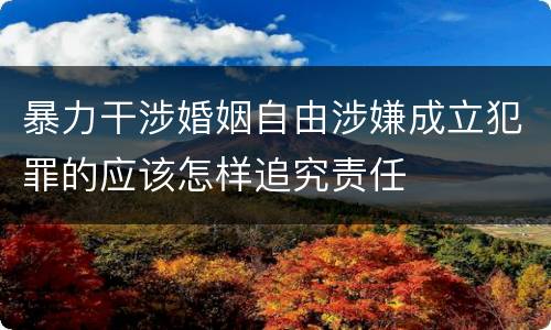 暴力干涉婚姻自由涉嫌成立犯罪的应该怎样追究责任