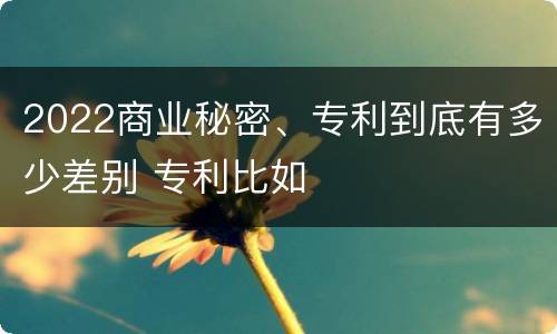 2022商业秘密、专利到底有多少差别 专利比如