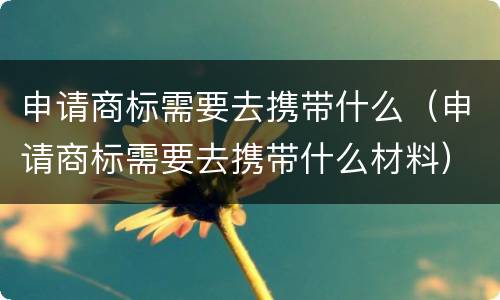申请商标需要去携带什么（申请商标需要去携带什么材料）