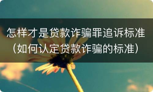 怎样才是贷款诈骗罪追诉标准（如何认定贷款诈骗的标准）