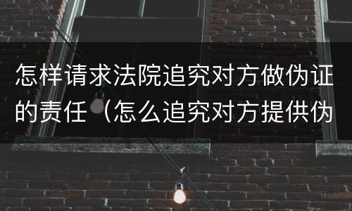 怎样请求法院追究对方做伪证的责任（怎么追究对方提供伪证责任）