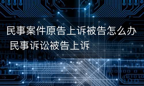 民事案件原告上诉被告怎么办 民事诉讼被告上诉