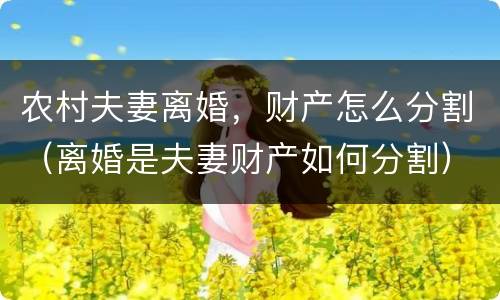 农村夫妻离婚，财产怎么分割（离婚是夫妻财产如何分割）