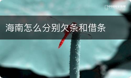 海南怎么分别欠条和借条
