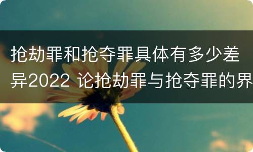 抢劫罪和抢夺罪具体有多少差异2022 论抢劫罪与抢夺罪的界限