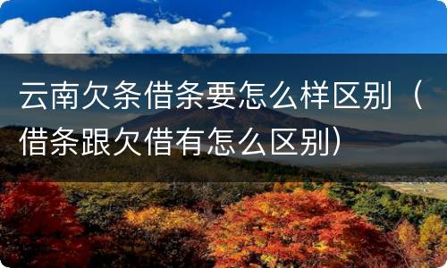 云南欠条借条要怎么样区别（借条跟欠借有怎么区别）