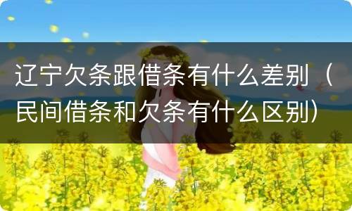 辽宁欠条跟借条有什么差别（民间借条和欠条有什么区别）