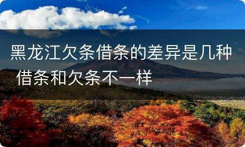 黑龙江欠条借条的差异是几种 借条和欠条不一样