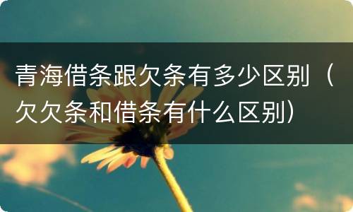 青海借条跟欠条有多少区别（欠欠条和借条有什么区别）