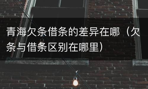 青海欠条借条的差异在哪（欠条与借条区别在哪里）