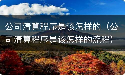 公司清算程序是该怎样的（公司清算程序是该怎样的流程）