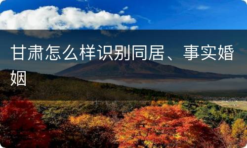 甘肃怎么样识别同居、事实婚姻