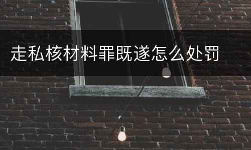 走私核材料罪既遂怎么处罚