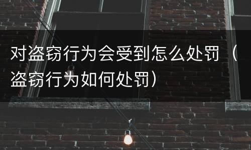 对盗窃行为会受到怎么处罚（盗窃行为如何处罚）