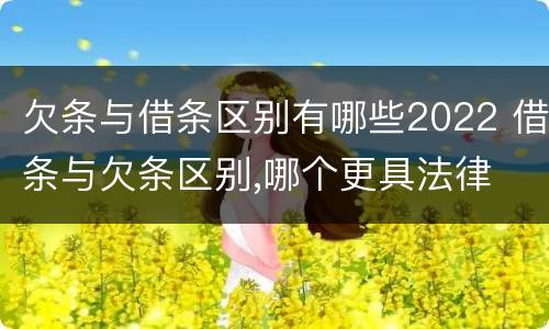 欠条与借条区别有哪些2022 借条与欠条区别,哪个更具法律