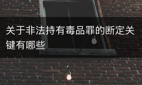 关于非法持有毒品罪的断定关键有哪些