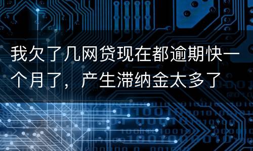 我欠了几网贷现在都逾期快一个月了，产生滞纳金太多了