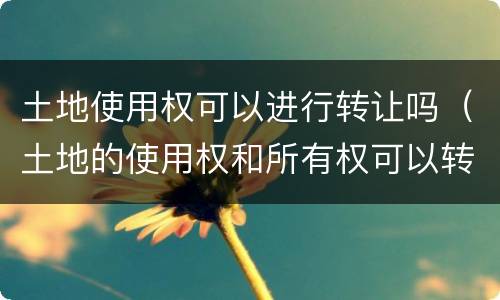 土地使用权可以进行转让吗（土地的使用权和所有权可以转让吗）