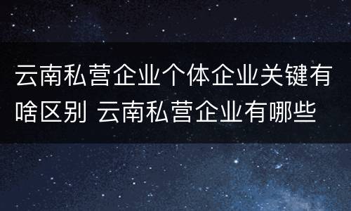 云南私营企业个体企业关键有啥区别 云南私营企业有哪些