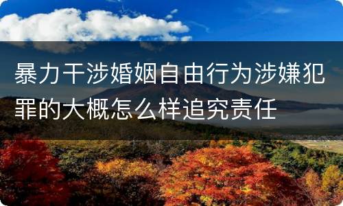 暴力干涉婚姻自由行为涉嫌犯罪的大概怎么样追究责任