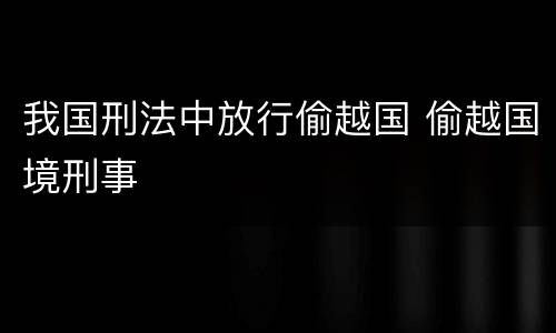 我国刑法中放行偷越国 偷越国境刑事
