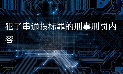 犯了串通投标罪的刑事刑罚内容