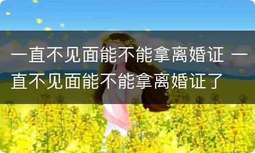 一直不见面能不能拿离婚证 一直不见面能不能拿离婚证了