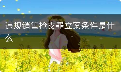违规销售枪支罪立案条件是什么