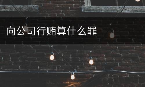 向公司行贿算什么罪