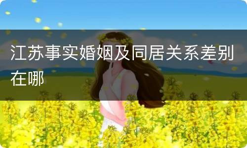 江苏事实婚姻及同居关系差别在哪