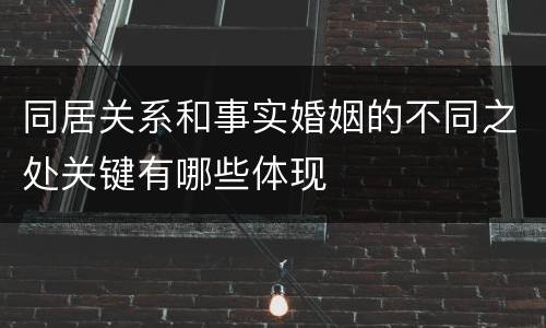 同居关系和事实婚姻的不同之处关键有哪些体现
