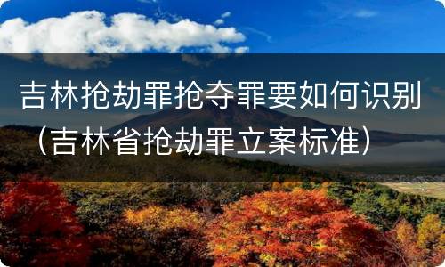 吉林抢劫罪抢夺罪要如何识别（吉林省抢劫罪立案标准）
