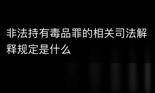 非法持有毒品罪的相关司法解释规定是什么