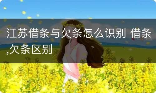 江苏借条与欠条怎么识别 借条,欠条区别