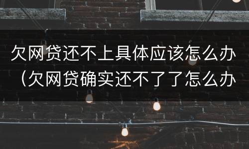 欠网贷还不上具体应该怎么办（欠网贷确实还不了了怎么办）