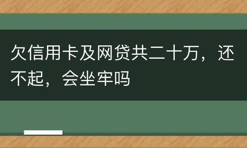 欠信用卡及网贷共二十万，还不起，会坐牢吗
