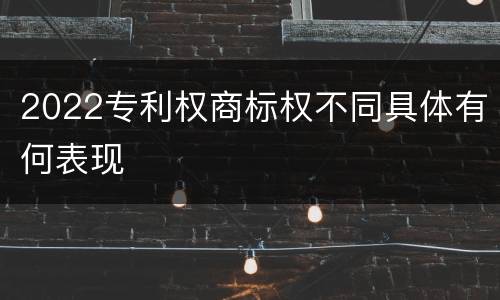 2022专利权商标权不同具体有何表现