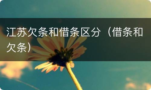 江苏欠条和借条区分（借条和欠条）