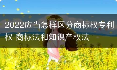 2022应当怎样区分商标权专利权 商标法和知识产权法