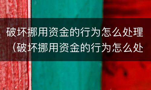 破坏挪用资金的行为怎么处理（破坏挪用资金的行为怎么处理呢）