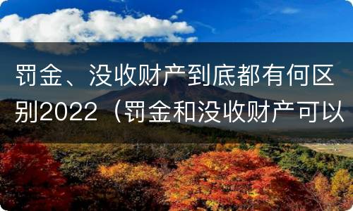 罚金、没收财产到底都有何区别2022（罚金和没收财产可以并处吗）