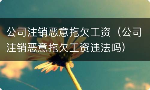 公司注销恶意拖欠工资（公司注销恶意拖欠工资违法吗）